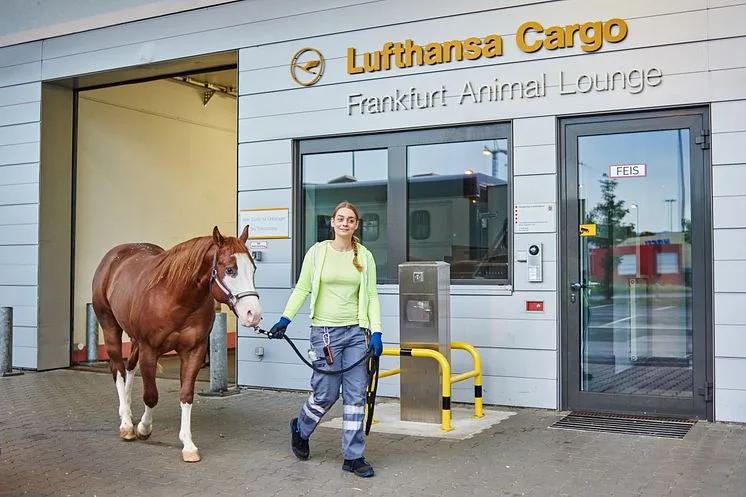 Dog airport arrival guide for Frankfurt Airport